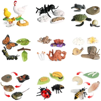 Моделиране на Цикъла на Растежа на Насекомите Модели на Животни Пеперуда, Пчела Калинка Фигурка Миниатюрни Забавни Играчки за Детски Клас