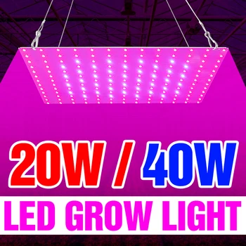 20 W 40 W Фитолампа LED Пълна Гама от LED Лампа За Отглеждане на Растения Лампа 220 В Оранжерията За Разсаждане на Phyto Светлина LED Цвете Семена Лампада