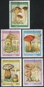 5 бр./компл. Гвинейские Пощенски Марки 1995 Гъба се Използва Пощенска Маркиране на Пощенски Марки за Събиране на