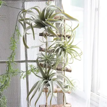 Нов прием на изкуствено въздушно растение Тилландсия изкуствено растение сочни листа на Ананас