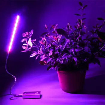 USB Лампа За Отглеждане на Растения Led Лампа За Отглеждане на 5730 Пълен Набор от LED Цветни Растения Хидропонно Hothouse Градина 5 2,5 Вата